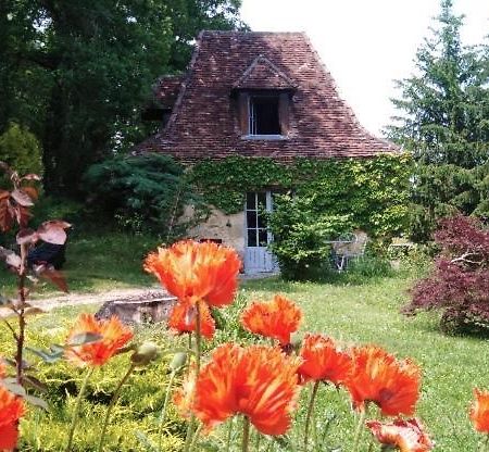 Petite Maison En Perigord Noir Plazac ภายนอก รูปภาพ