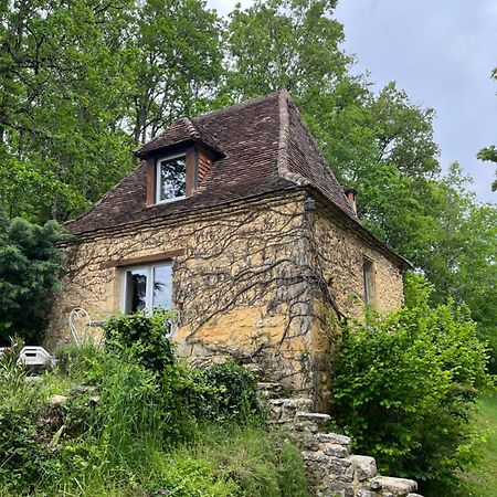 Petite Maison En Perigord Noir Plazac ภายนอก รูปภาพ